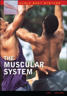 Image for The Muscular System