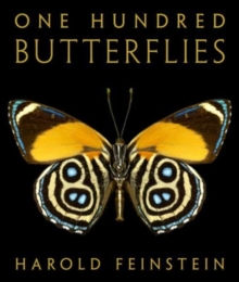 Image for One Hundred Butterflies