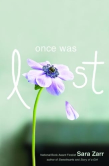 Image for Once was lost  : a novel