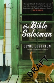 Image for The Bible salesman  : a novel