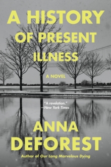 Image for A History of Present Illness : A Novel