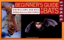 Image for Stokes Beginner's Guide to Bats