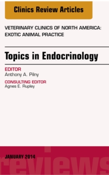 Image for Endocrinology, An Issue of Veterinary Clinics: Exotic Animal Practice,