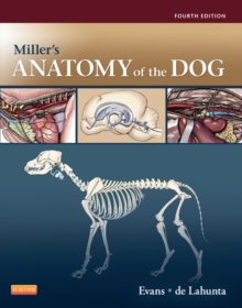 Image for Miller's anatomy of the dog.