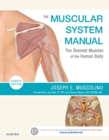 Image for Muscular System Manual: The Skeletal Muscles of the Human Body
