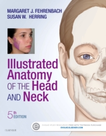 Image for Illustrated anatomy of the head and neck