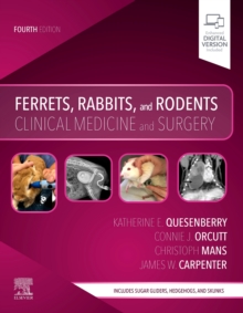 Image for Ferrets, rabbits, and rodents  : clinical medicine and surgery