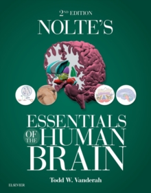 Image for Nolte's essentials of the human brain