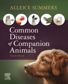 Image for Common diseases of companion animals