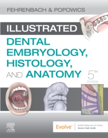 Image for Illustrated dental embryology, histology, and anatomy