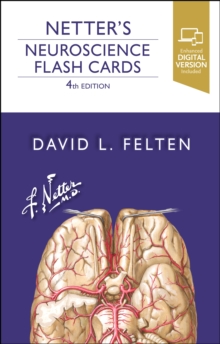 Image for Netter's Neuroscience Flash Cards