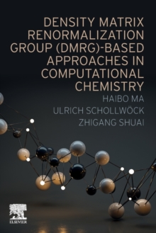 Image for Density Matrix Renormalization Group (DMRG)-based Approaches in Computational Chemistry