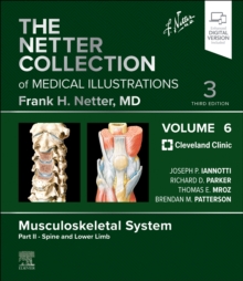 Image for The Netter collection of medical illustrations.Volume 6,: Musculoskeletal system