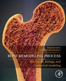 Image for Bone remodeling process  : mechanics, biology, and numerical modeling