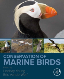 Image for Conservation of Marine Birds