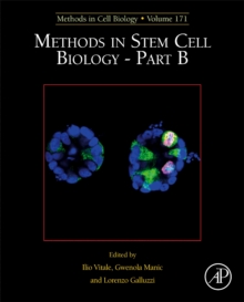 Image for Methods in stem cell biologyPart B