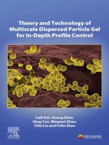 Image for Theory and technology of multiscale dispersed particle gel for in-depth profile control