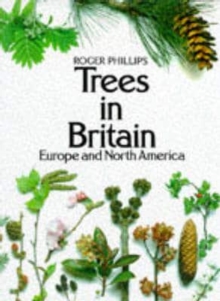 Image for Trees in Britain, Europe and North America