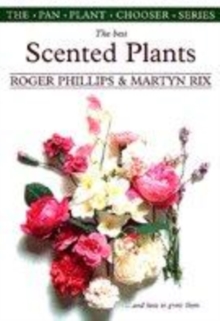 Image for The best scented plants