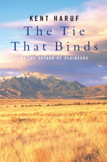 Image for The tie that binds  : a novel