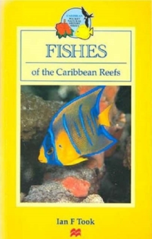 Image for Fishes of the Caribbean Reefs