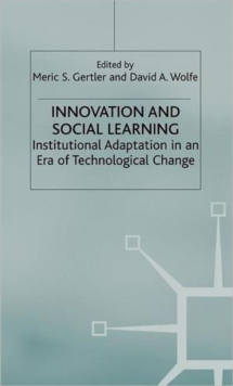 Image for Innovation and Social Learning