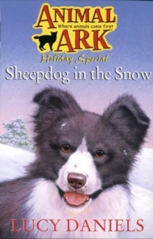 Image for Sheepdog in the Snow