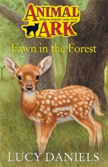Image for Fawn In The Forest