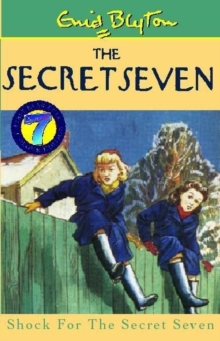 Image for 13: Shock For The Secret Seven