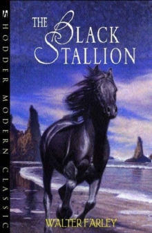 Image for Black Stallion