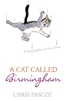 Image for A Cat Called Birmingham