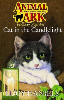 Image for Cat in the Candlelight