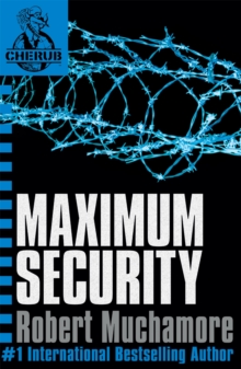 Image for Maximum security