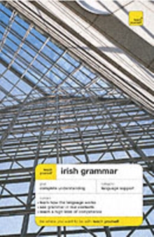 Image for Teach Yourself Irish Grammar