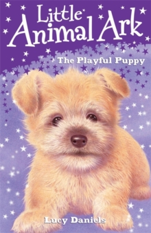 Image for The playful puppy