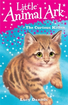 Image for The curious kitten