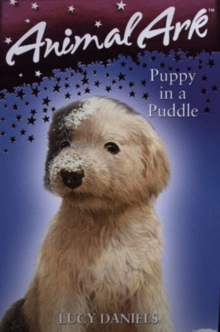 Image for Puppy in a puddle