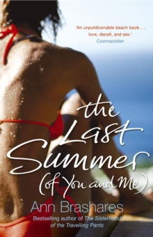 Image for The Last Summer (of You & Me)