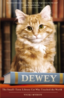 Image for Dewey  : the small-town library-cat who touched the world