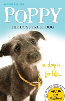 Image for Poppy, the Dogs Trust dog
