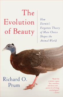 Image for Evolution of Beauty