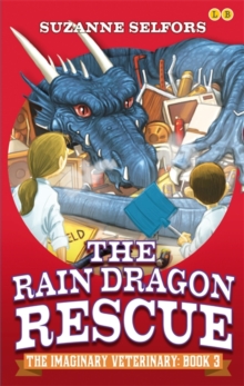 Image for The rain dragon rescue