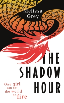 Image for The shadow hour