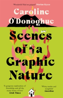 Scenes of a Graphic Nature: ‘A perfect page-turner’ (Dolly Alderton) from the bestselling author of The Rachel Incident