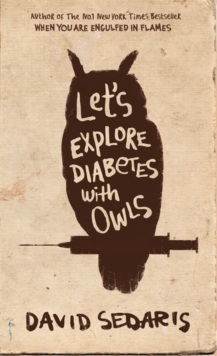 Image for Let's explore diabetes with owls