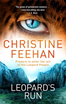 Image for Leopard's run