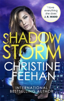 Image for Shadow Storm