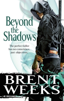 Image for Beyond the shadows