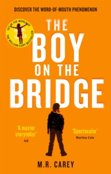 Image for The boy on the bridge