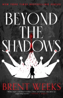 Beyond The Shadows: Book 3 of the Night Angel